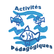 Lien vers l'espace pdagogique