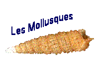 Lien vers l'espace pdagogique