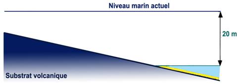 EVOL1 copie.jpg