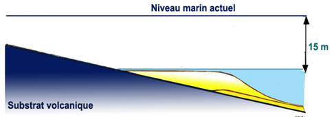 EVOL2 copie.jpg