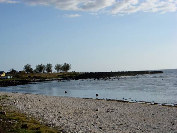 Pointe au sel.jpg