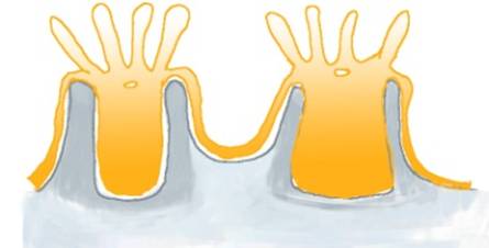 loges polypes 2.jpg