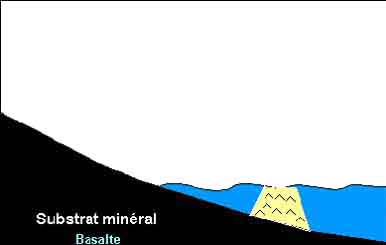 Les tapes de la construction de la barrire de corail