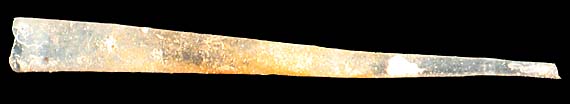 cavolinidae