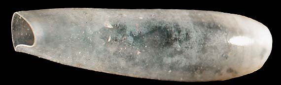 cavolinidae
