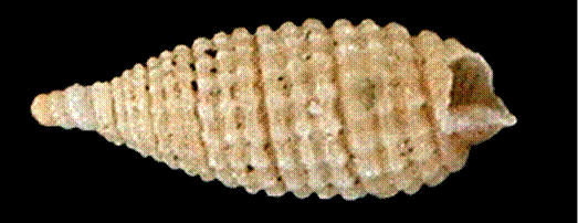124
