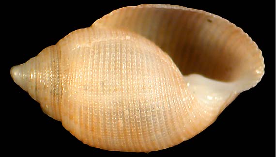 3456