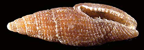 90