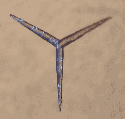 Spicule (MO Grossissement X400) 